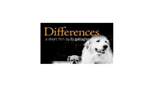 Differences Differences