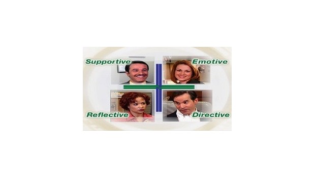 The Four Styles training video The Four Styles training video