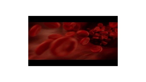 Bloodborne Pathogens: Know The Risk 