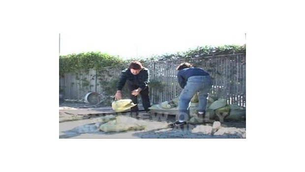 Back Safety: Exercise And Ergonomics Back Safety: Exercise And Ergonomics