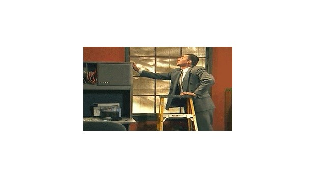 Office Safety: It's a Jungle in There Office Safety: It's a Jungle in There