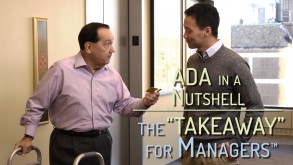ADA in a Nutshell